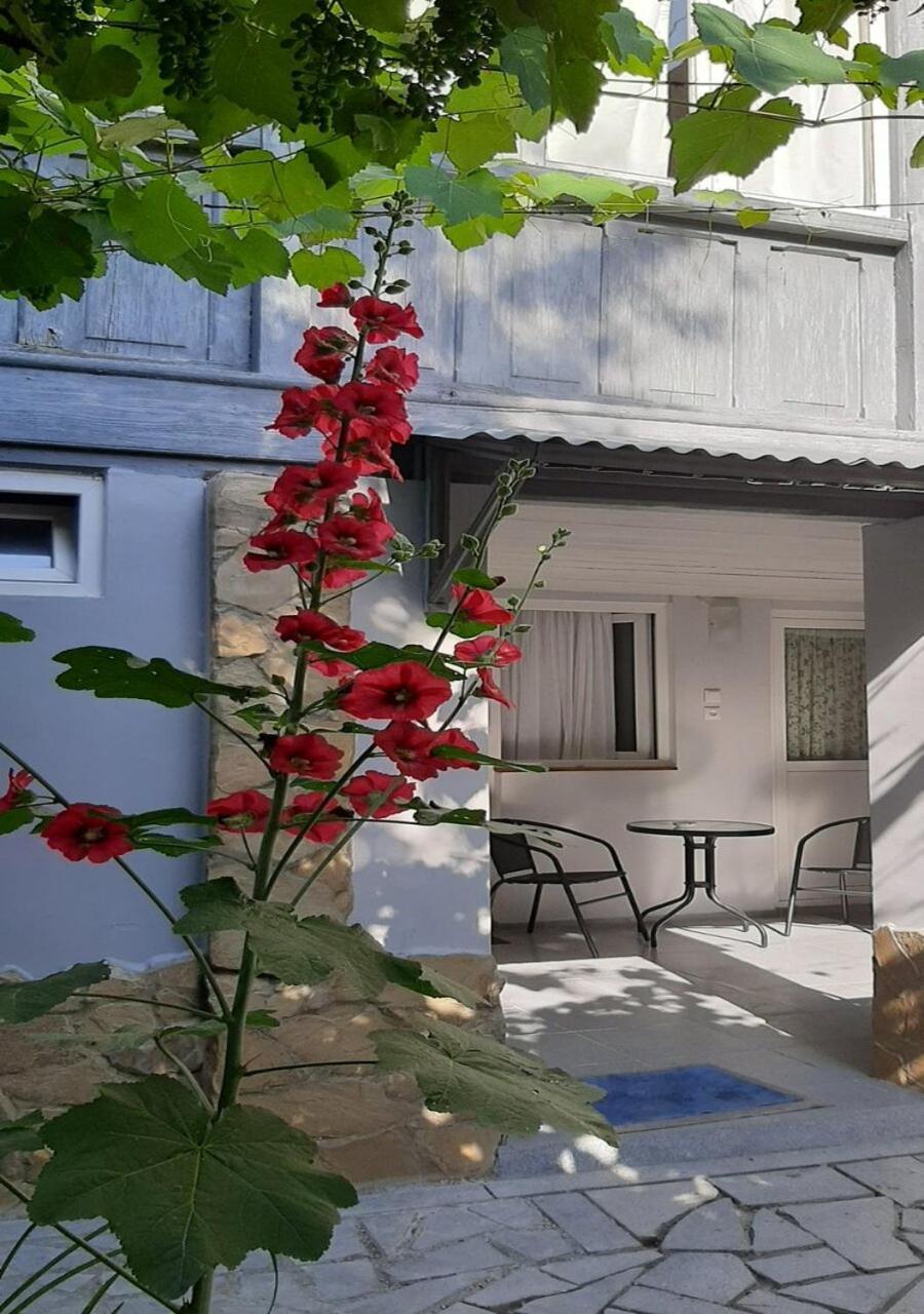 Beso-House Apartment Borjomi Exterior photo